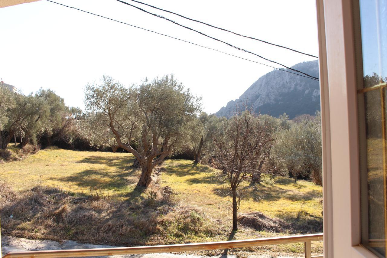 Apartments Todorovic Petrovac المظهر الخارجي الصورة